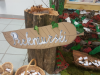 2019_04_16_turizmu_pomaga_lastna_glava_002