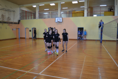 Državno polfinalno tekmovanje v odbojki za učenke