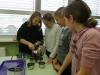 2018_12_10_nemska_bozicna_delavnica_004