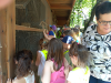 2019_06_05_obiskali_smo_cebelji_gradic_006_0