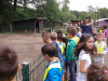 sikaloo_zoo_04