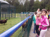 sikaloo_zoo_08