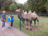 sikaloo_zoo_10