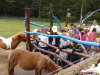 sikaloo_zoo_11