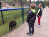 sikaloo_zoo_17