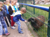sikaloo_zoo_20