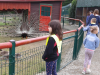 sikaloo_zoo_33