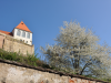 pasch_obisk_slovaskih_ucencev_95