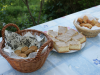 pohod_po_lendavskih_goricah_23