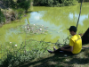 ribolov_07