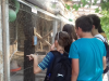 2019_06_12_tabor_za_nadarjene_olimje001