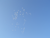 2019_06_14_valeta_096