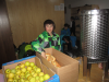 svn_5_razred_91